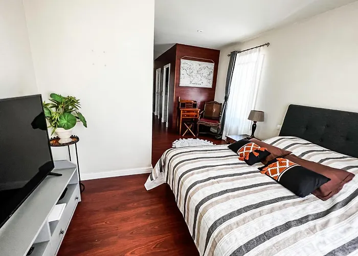 Canis * ティアス